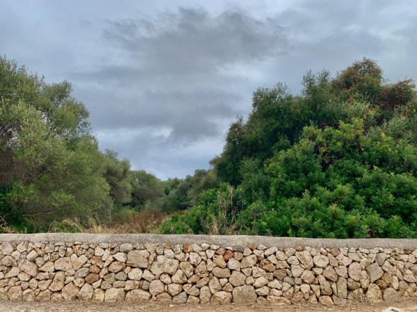 Plot in residential area in Cala Egos (Cala d'Or)