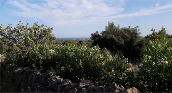 Rustic property in s’Horta