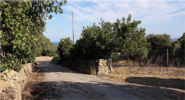 Rustic property in s’Horta
