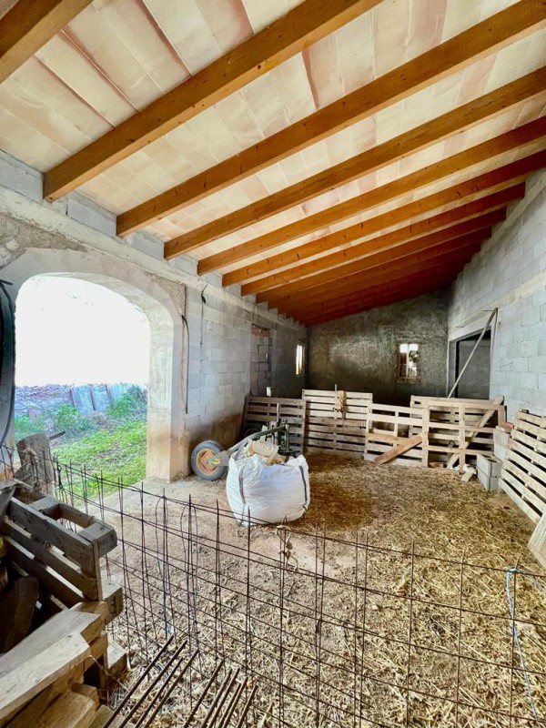 Finca in Alquería Blanca