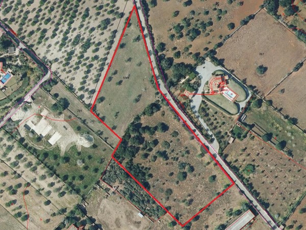 Building rustic property in the Alquería Blanca area